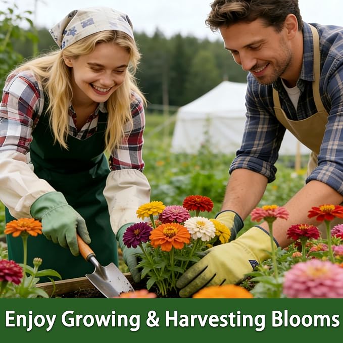 LUOJIBIE Zinnia Seeds, 6500+ Bulk Pack Mixed Colors Large Blooms Seeds, California Giant Zinnia Seeds for 2026, High Germination Non-GMO, Wildflower Seeds for Planting Indoor Outdoor, Open Pollinated