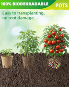 3.15Inch Peat Pots 60Pcs Biodegradable Pots for Seedling, Round Plant Seed Starter Pots with 60Pcs Plant Labels, Garden Germination Nursery Pots for Flower Vegetable Saplings & Herb Seed Germination