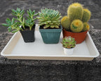VUWEZ Rectangle Plant Tray, Plant Drip Tray, Plant Pot Saucers, Plant Germination Trays, Plant Saucers, 14.5'' x 11'' x 1.5'' (2 pack), Beige