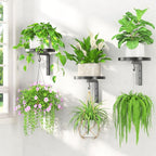 LASZOLA Plant Hangers Shelves Wall Mounted Indoor, Metal Window Plant Holders, 3Pcs Modern Floating Flower Display Stand with 3 Hooks for Outdoor Kitchen Bathroom Decor, Black