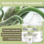 Air Plant Fertilizer - Liquid Plant Food for All Tillandsia Air Plants, Use As Foliar Spray or for Soaking, 32 oz
