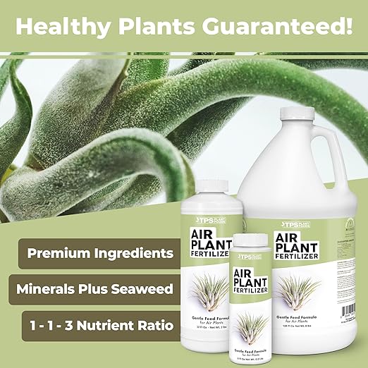 Air Plant Fertilizer - Liquid Plant Food for All Tillandsia Air Plants, Use As Foliar Spray or for Soaking, 1 Gallon