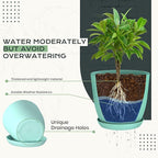 Utopia Home - Plant Pots Indoor with Drainage - 7/6.6/6/5.3/4.8 Inches Home Decor Flower Pots - Plastic Planters for Indoor Plants, Cactus, Succulents Pot (Aqua, Pack of 10)
