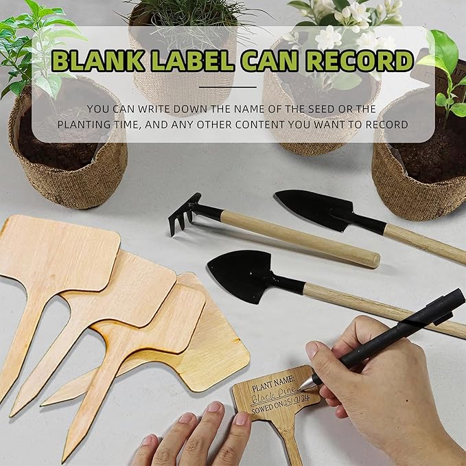 Bonsai Tree Growing Kit - All-in-One plant repotting mat Gardening Tools & User Manual, Unique Gift for Plant Lovers (Seeds Not Included)Gardening Gifts for Women Men Mom Father Birthday Thanksgiving