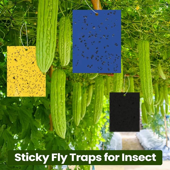 Qualirey 150 Pcs 6 x 8 Inch Sticky Traps for Plant Double Sided Sticky Trap for Gnats with Twist Ties Fly Traps for Fruit Insect Fungus Bugs Indoor Outdoor (Yellow,Blue,Black)
