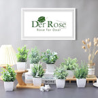 Der Rose 8 Pack Fake Plants Small Artificial Faux Potted Plants for Home Office Farmhouse Bathroom Bedroom Decor Indoor