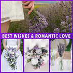 Uieke Dried Lavender Flowers Bundles, 16" Dried Purple Preserved Lavender Stems Bouquet for Shower Weeding Home Fragrance Vase Crafts Decor, 100g(3.52oz)