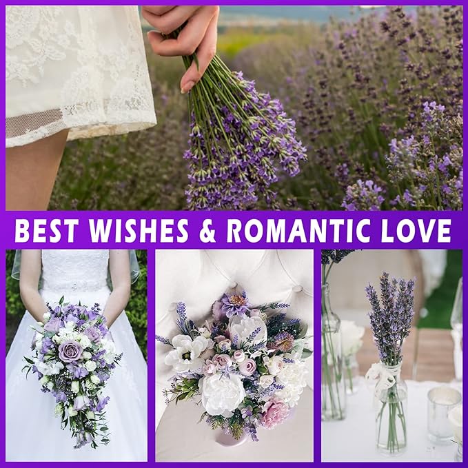 Uieke Dried Lavender Bundles, Preserved Lavender Stems Bouquet for Shower, Weeding, Home Fragrance, Vase Crafts Decor, 200g(7.05oz)