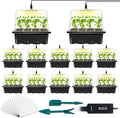 12-Set Seed Starter Tray with Grow Light, Seed Starting Trays Kits with Timing Controller Adjustable Humidity Domes Heightened Lids(12-Cells Per Tray)
