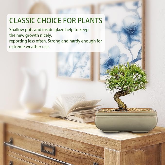 Ceramic Bonsai Pots with Drainage Hole, Set of 2 Rectangular Glazed Bonsai Planters for Indoor/Outdoor Use, Shallow Brown Bonzai Tree Pots for Succulent, Orchids, Cacti, Home, Patio, Garden, 8.7"x5.9"