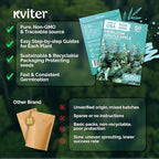 KVITER 50 Argyle Apple Eucalyptus Seeds (Eucalyptus Cinerea) - Silver Dollar, Evergreen Garden Decor, Fragrant Foliage, Non GMO Seed - Tree Seeds in Seed Packets for Outdoors, Suitable for Containers