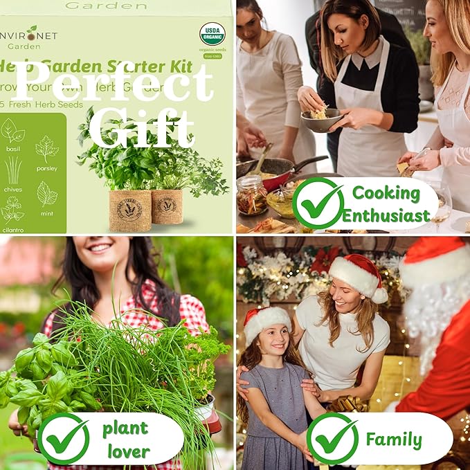 Herb Indoor Garden Kit- Unique Chrismas Herb Gardening Gift, Home Kitchen Gift for Mom, Friends, and Gardeners (Basil, Parsley, Chives, Cilantro, Mint)