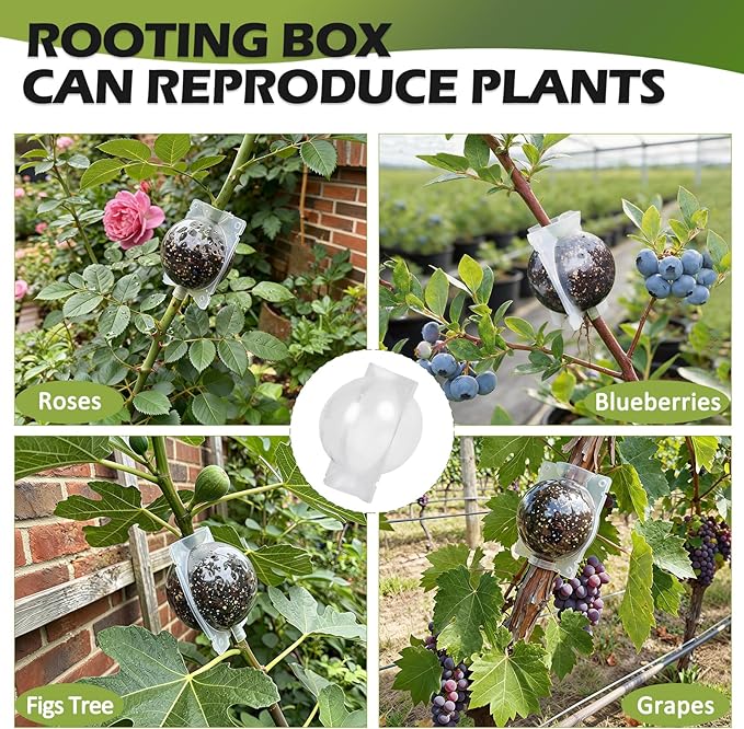 Tree Root Growing Box, Air Layering Pods Propagation Kit, Reusable Half Transparent Plants Asexual Reproduction Grafting Ball with Zip Ties for Fast Propagation Plants (12 Pcs Small)