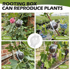 Tree Root Growing Box, Air Layering Pods Propagation Kit, Reusable Half Transparent Plants Asexual Reproduction Grafting Ball with Zip Ties for Fast Propagation Plants (12 Pcs Small)