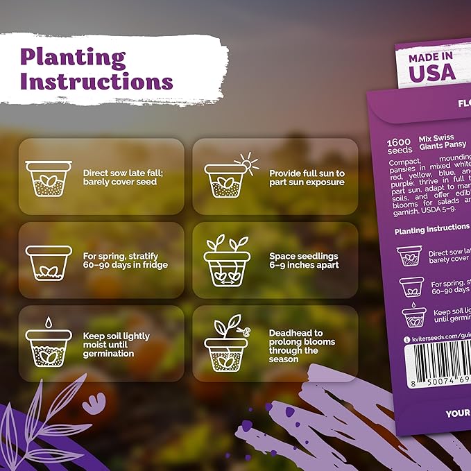 KVITER 1600 Swiss Giants Pansy Seeds For Planting (Viola wittrockiana) – Mixed Colors Seed Packets Viola Edible Blooms – Perennial Flower Seeds to Plant Outside Garden Seed Mix, Containers Flower Beds