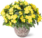 Nigirior Artificial Fake Flowers for Outdoor Décor 6 Bundles UV Resistant Fake Plants for Planter Faux Impatiens for Home Porch/Garden Stunning（Yellow）
