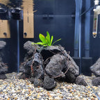 Black Lava Rock Aquarium Stones for Aquascape 30lb Natural Volcanic Rocks for Fish Tank,Terrarium,Reptile Habitat, Landscaping Decor(10-12pcs 4-9 inches)