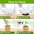 Bonsai Tree Kit, Bonsai Starter Kit with Seeds & Tools, Tree Live Plants Indoor, Gardening Gifts for Women Men Mom Father Plant Lover, Birthday Gifts for Women
