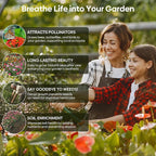 Groundio Wildflower Seeds Bulk, 4 Ounce, 200,000+ Seeds, 26 Varieties Annual & Perennial Flower Seeds Mix with Zinnia, Milkweed, Butterflyweed, Attracts Pollinators, Plant in Spring or Fall
