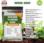 Supreme Set of Heirloom Medicinal Herb, Lettuce, Greens and Salad Seeds - USA Grown - Total 24 Individual Non-GMO Heirloom Seeds for Planting Home Garden Indoor Outdoor and Hydroponic