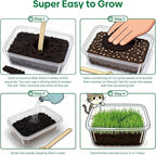 Groundio Cat Grass Seeds, All in 1 Growing Kit for Indoor Cats, Organic Cat Grass Seed with High Germination Rate, Heirloom | Non-GMO | Coco Coir | BPA Free Container