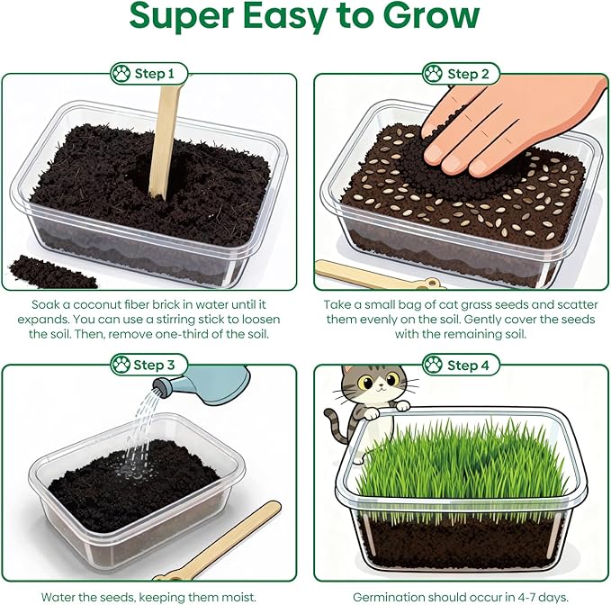 Groundio Cat Grass Seeds, All in 1 Growing Kit for Indoor Cats, Organic Cat Grass Seed with High Germination Rate, Heirloom | Non-GMO | Coco Coir | BPA Free Container