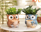 Saysmile Unique Owl Plant Pots Indoor, Cute Small Succulent Pots with Drainage Hole, Watering Owl Planters for Indoor Outdoor Plants, Resin Flower Pot for String of Pearls, Gift Ideas for Mother