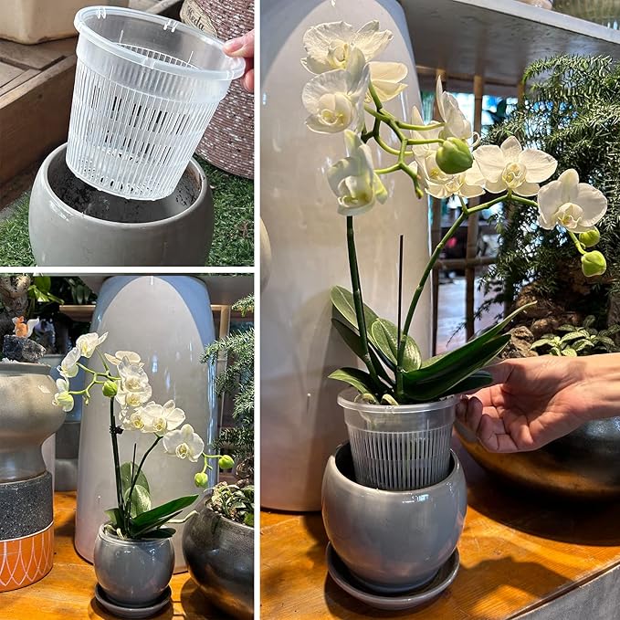 Orchid Pot,12 Pack 5.5Inch Clear Plastic Orchid Pots with Saucers, Orchid Pots with Holes, Orchid Breathable Slotted Pot(12Pcs 5.5in+ Saucers)