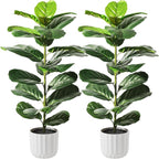 Suntee 2 Pack Artificial Fiddle Leaf Fig Tree, 30" Ficus Lyrata Fake Plants with White Planter, Floor Plant Outdoor Faux Plants for Living Room, Corner, Office, Patio, Windowsill Decor