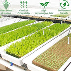 Halatool 1.2 Inch Rockwool Cubes Garden Hydroponic Pods Starter Plugs for Hydroponics Soilless Cultivation Seedling Starting Cuttings Clone & Plants Propagation (2 Sheets, 72 Plugs in Total)