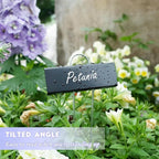 FORUP Metal Plant Labels, 50 Pack Garden Label Markers, Weatherproof Garden Stake Tags, Reusable Planting Gardening Markers, Black
