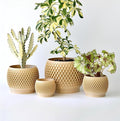 Plant Pots, Modern 3D Printed Honeycomb Planters for Indoor Plants, 4.7/6/8/10 Inch Wood Decorative Flower Pot for Office Desktop, Bookshelf & Home Decor, Lightweight & Durable.