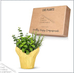 Live Aromatic and Healthy Herb Combo in Deco Cover - Breathe Better, Combo Includes Eucalpytus, Mint, and Rosemary, 12" Tall by 6" Wide in 1.25 Quart Pot