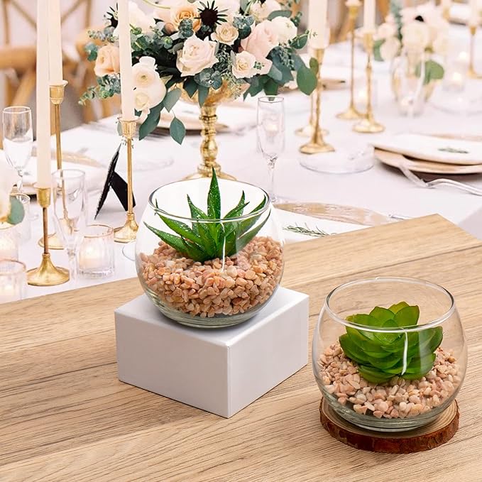 Briful Mini Fake Plants 4 Packs Cute Succulents Artificial Plants Potted Faux Succulents in Round Glass Vase for Bathroom Living Room Kitchen Shelf Table Decor