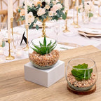 Briful Mini Fake Plants 4 Packs Cute Succulents Artificial Plants Potted Faux Succulents in Round Glass Vase for Bathroom Living Room Kitchen Shelf Table Decor
