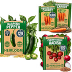 HOME GROWN Root Vegetable & Pepper Seed Kit – 6,929+ Non-GMO USA Seeds – Includes Tendersweet Carrot (6,000), Cherry Belle Radish (800) & Jalapeno Pepper (129) – Heirloom, High Germination