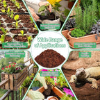 Riare 50 Pcs 50mm Organic Coco Coir Seed Starter Soil, Compressed Coconut Coir Potting Soil Mix for Seed Starting, Coconut Fiber Pellet for Planting Indoor & Outdoor Plants, Vegetables, Garden