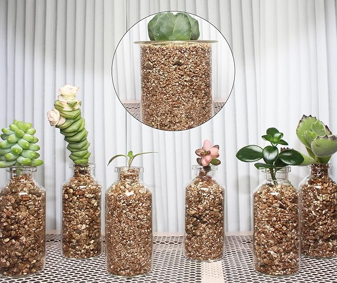 5QT Organic Vermiculite, Horticultural Vermiculite for Plants, Soil Additive for Potted Plants, Vermiculite Coarse Hydroponic for Succulent Orchid Gardening Reptiles