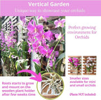 ShopLaLa Wall Planter - 2 Pack Wooden Hanging Planter for Indoor Plants Wall Mount Plant Stand Ladder Outdoor Vertical Garden Unique Live Orchid Planter Holder Display Large Wall Decor 23.6" (60cm)