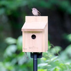Nature's Way Cedar Box Wren House with Clean-Out Door, Wild Bird House and Outdoor Décor, Brown