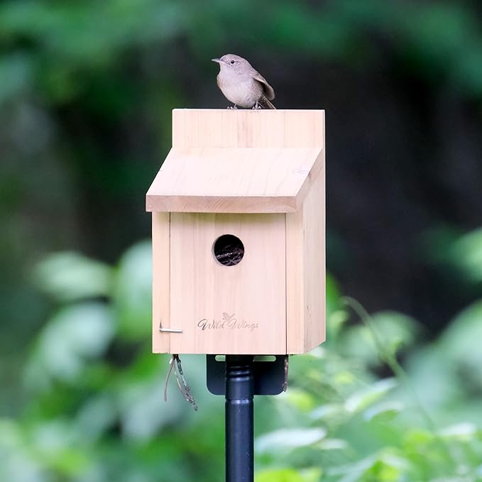 Nature's Way Cedar Box Wren House with Clean-Out Door, Wild Bird House and Outdoor Décor, Brown