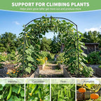 DoCred Tall Garden Arch Trellis for Climbing Plants, 87in Tall Metal Plant Support Trellis Archway for Climbing Vine Vegetable/Fruit/Flower Outdoor Yard Lawn Garden Arch Tunnel Trellis