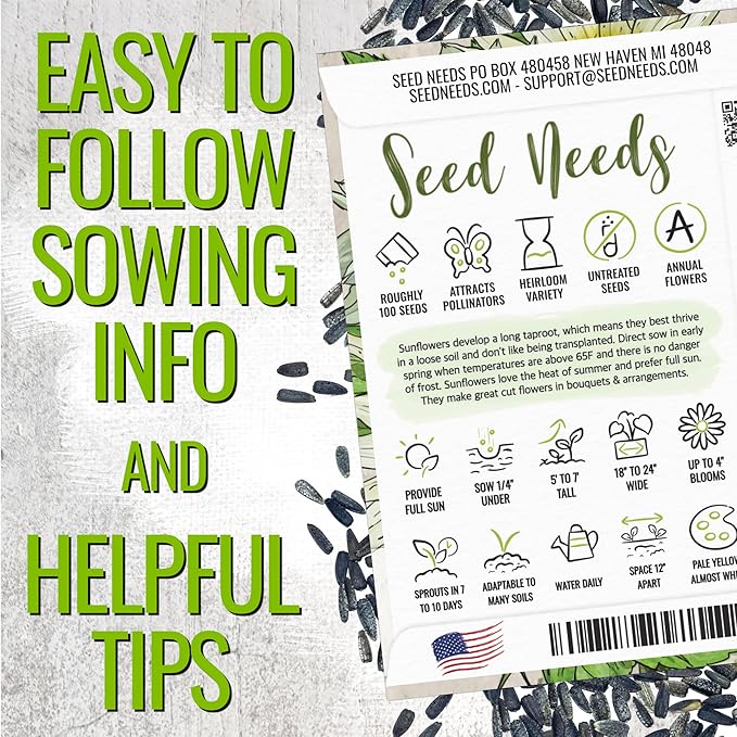 Seed Needs Sunflower Seeds for Planting Chocolate/Italian White Sunflowers - Heirloom & Open Pollinated Helianthus Seed Collection to Plant a Butterfly Garden (2 Packs)