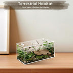 Jumping Spider Enclosure Set, Terrestrial Arboreal Combo, Acrylic Tarantula Terrarium, Praying Mantis Habitat, No Assembly, 2-Size Kit, Medium