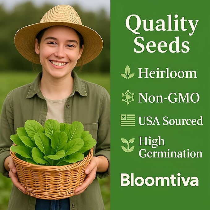 2200 Baby Mustard Greens Seeds for Planting - CAI Xanh an Non - Super Fast Harvest - Heirloom 𝗡𝗢𝗡-𝗚𝗠𝗢 Mustard Seed - High Germination Rate – Grown in USA (Brassica juncea)
