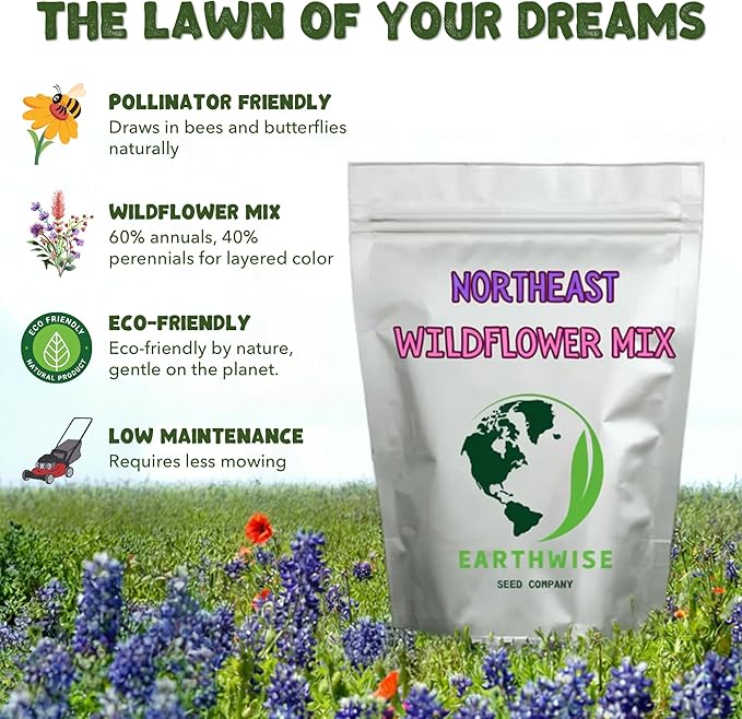 Earthwise Northeast Native and Naturalized Wildflower Seed Mix – Season-Long Color, Pollinator Friendly, Organic, Low Maintenance, Chemical-Free, Pet Safe – Covers Up to 500 sq ft, 1/4 lb