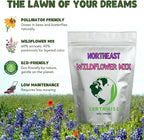 Earthwise Northeast Native and Naturalized Wildflower Seed Mix – Season-Long Color, Pollinator Friendly, Organic, Low Maintenance, Chemical-Free, Pet Safe – Covers Up to 500 sq ft, 1/4 lb