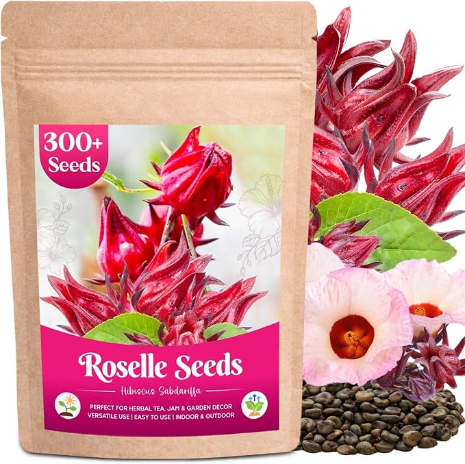 300+ Roselle Seeds for Planting - Hibiscus Sabdariffa, Jamaican Sorrel Seeds Cranberry Hibiscus, Red Roselle Seed for Flowers Tea & Jam Syrup, Warm Season Garden Flower Seed for Home Growing