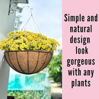 LaLaGreen Hanging Baskets for Plant Outdoor (20 Inch, 2 Pack) Extra Large Black Metal Wire Hanging Planter with Coco Liner Round Flower Pot Holder Hanger Deck Porch Modern Garden Balcony Country Decor
