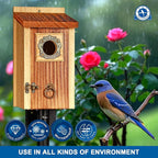 SISTERBIRD Premium Pack of 2 Bluebird Houses for Outside, Garden Bird Houses for Outdoor, Vintage Metal Predator Guard, Birdhouse Gift, Weatherproof Coating Bird Nesting, Assembly Required